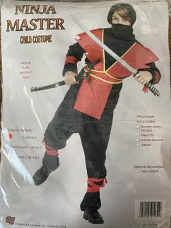 Ninja master