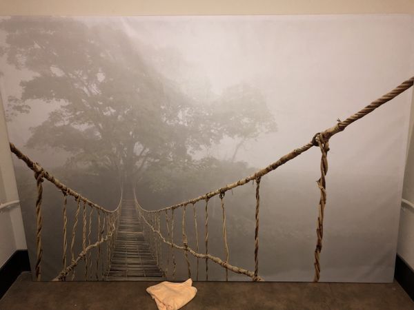 Ikea Wall Art Rope Bridge For In Tacoma Wa Offerup