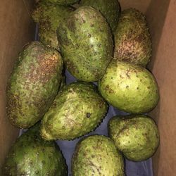Soursop (Guanabana) Organic Fruit