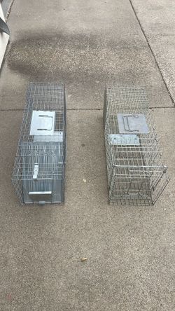 Animal traps