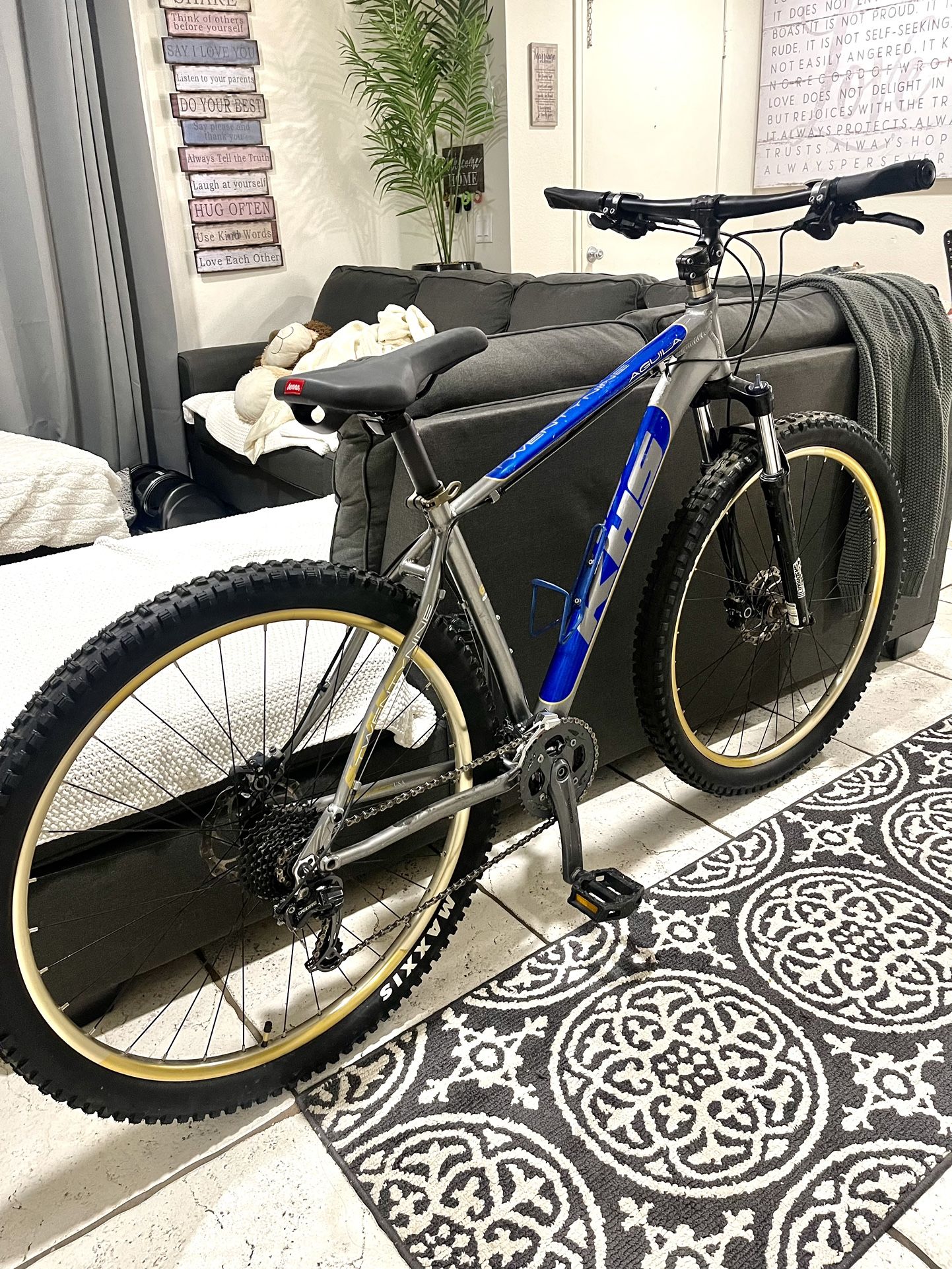 KHS Aguila Large/29” MTB