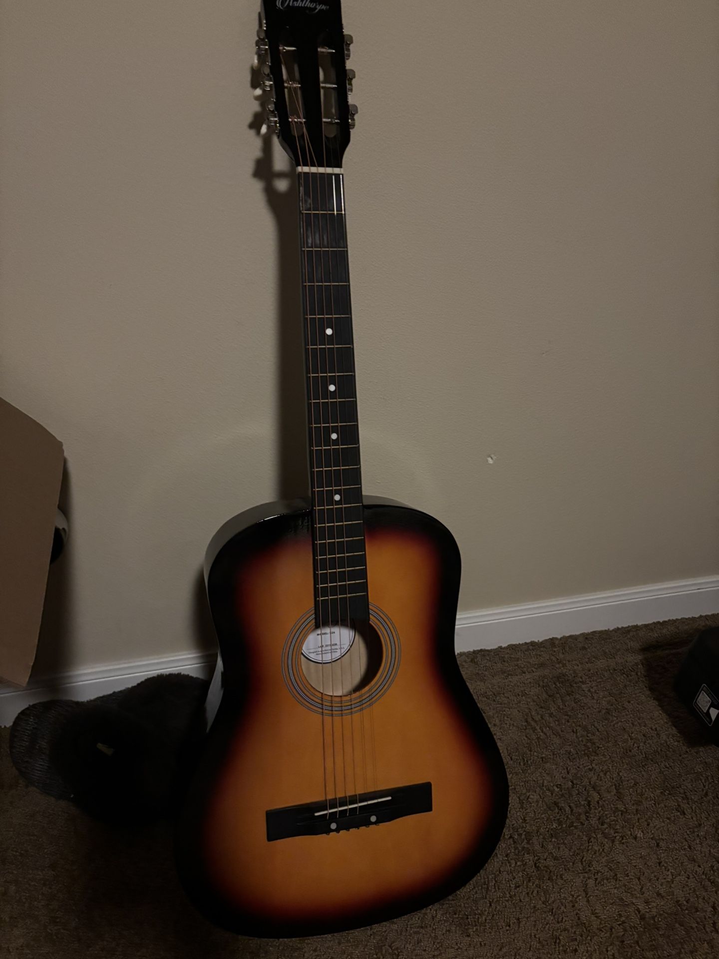 Beginner Guitar And Bag