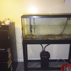 Fish tanks and accessories 