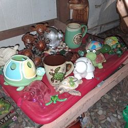 Turtle Collection