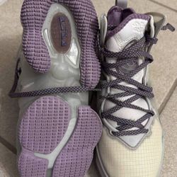 Nike Lebrons