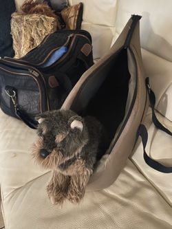 Pet carrier great for on the airplane fits under the seat