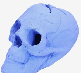 Barton Living Imitated Human Skull Ceramic Indoor or Outdoor Skull Gas Log blue 95052