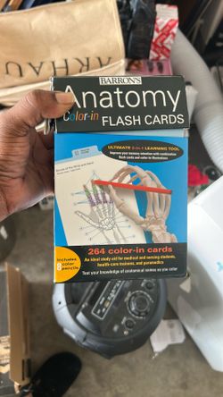 Anatomy Color-in Flash Cards