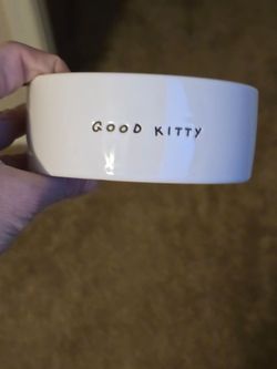 Cat Bowls