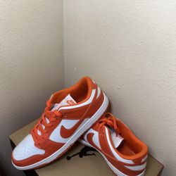 Nike Dunks Syracause Size 11s [No Boxes]