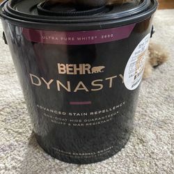 Behr Dynasty paint in eggshell