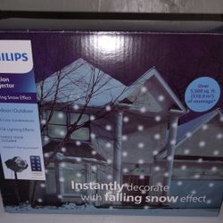 Phillips Motion Projector Light