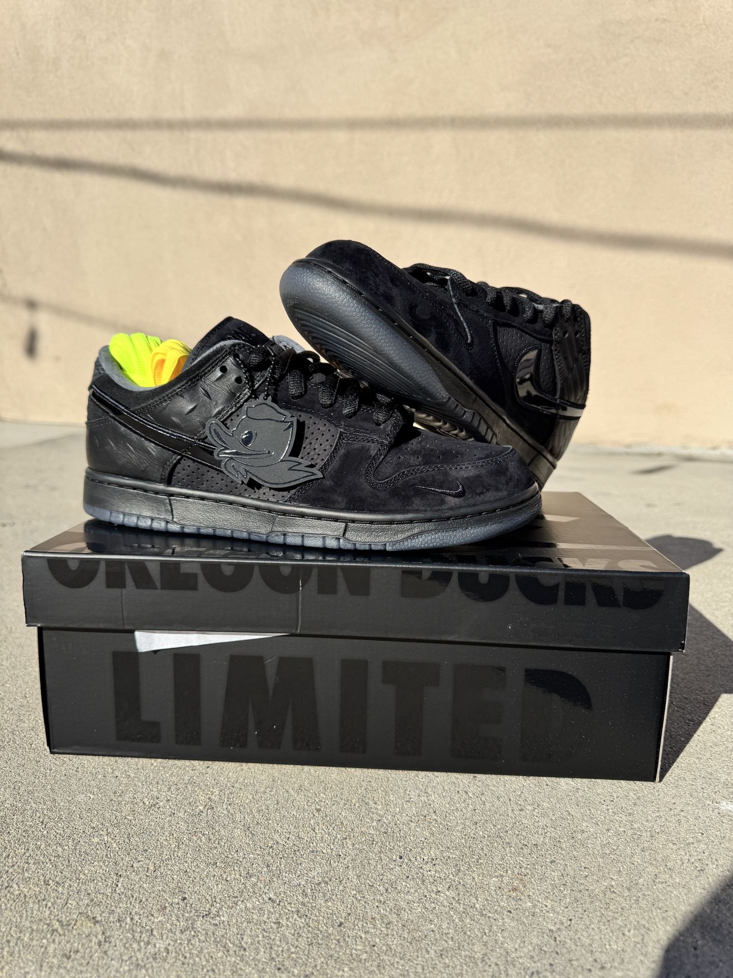 Nike Dunk Low ‘What the Duck DOAF University of Oregon Alternate’ Size 9 And 10