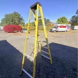 $50 Husky 8 foot folding ladder
