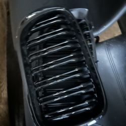 BMW grill 