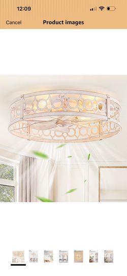 Ceiling fans with lights