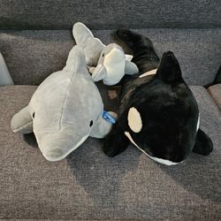 SeaWorld Dolphin And Killer Whale