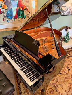 Yamaha C2 Grand Piano High Gloss Black in Mint Condition