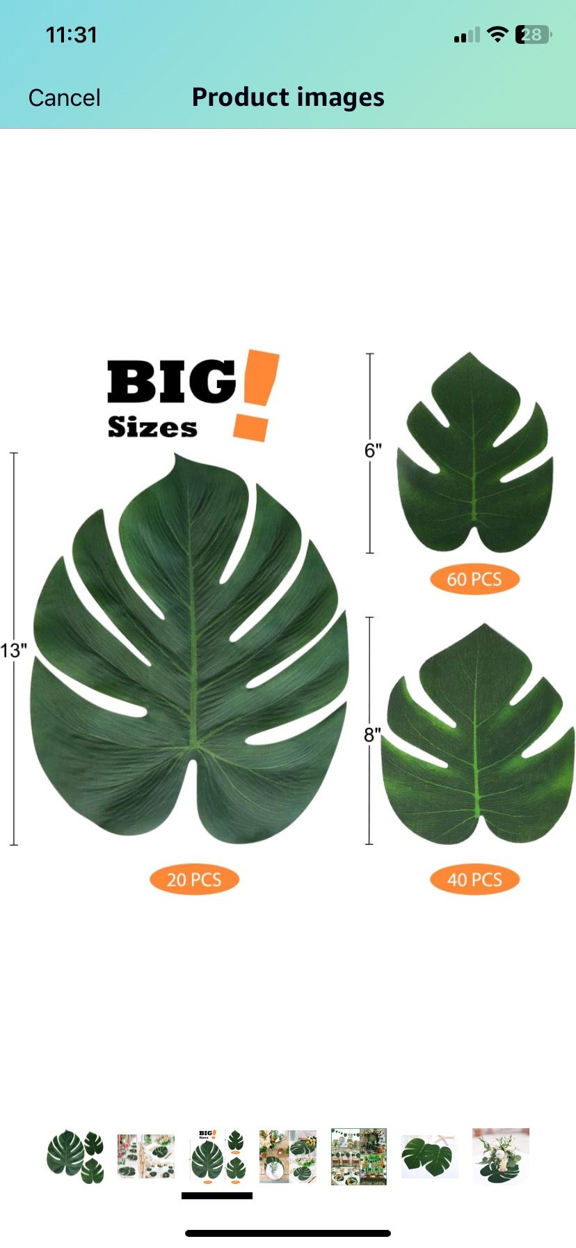120 Pc Palm Leaf Set 