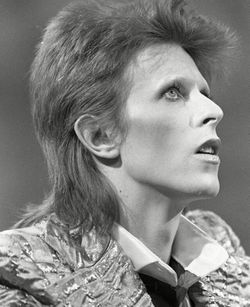 DAVID BOWIE PICTURE