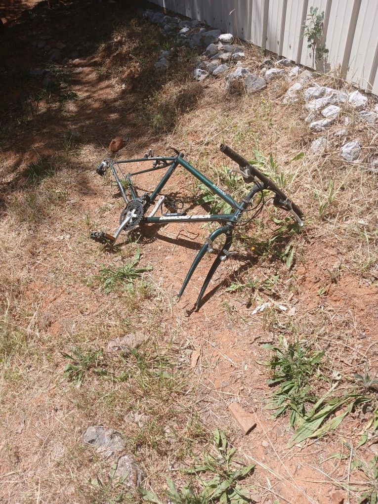 Diamondback frame