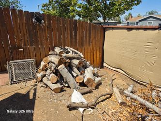 Free firewood-Walnut