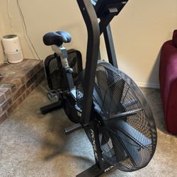 Rogue echo bike