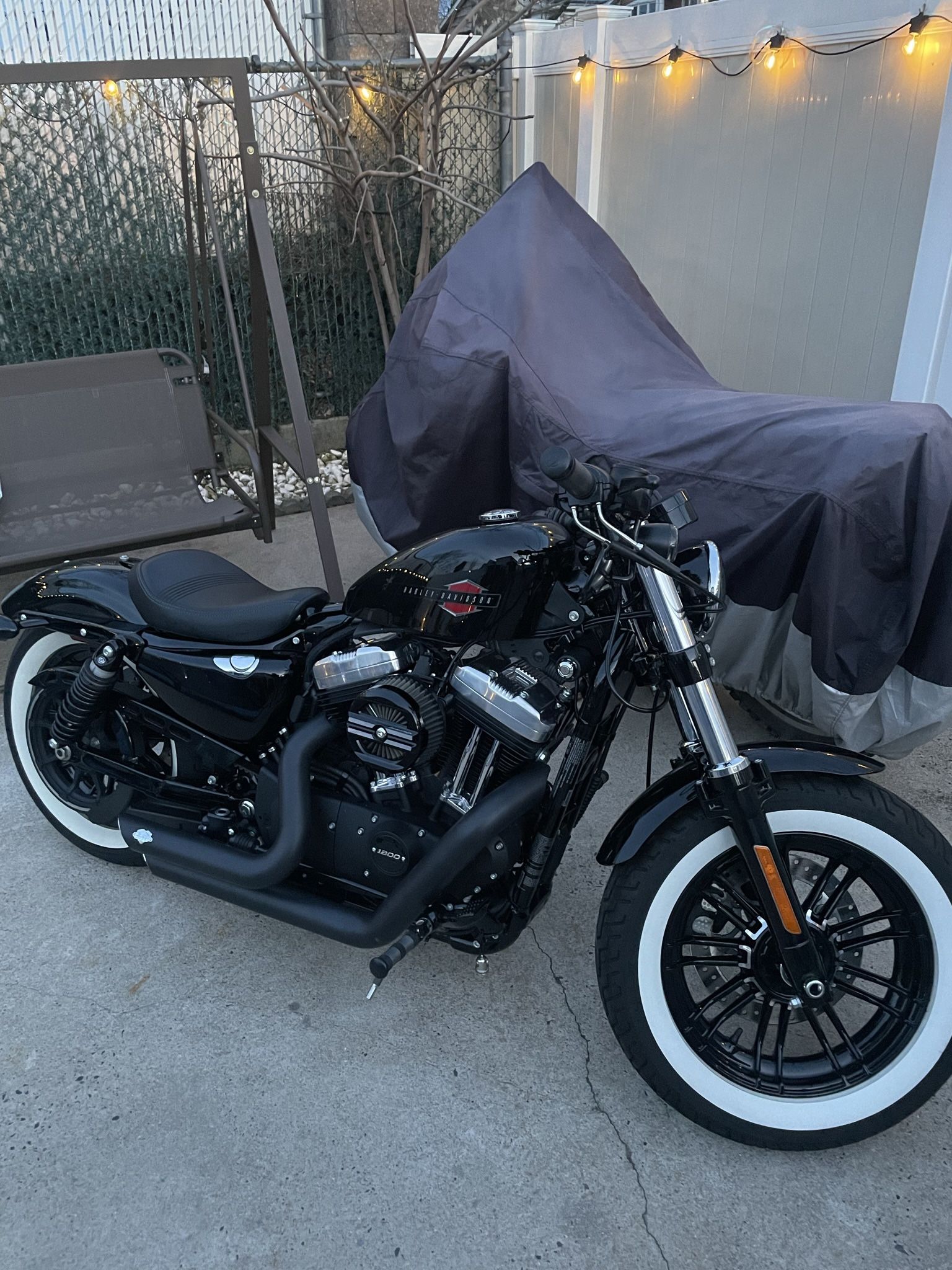 2019 Harley Davidson Sportster 48 special