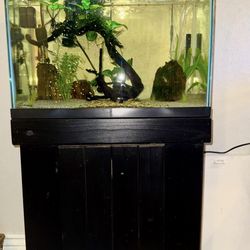 Aquarium 29 Gallon