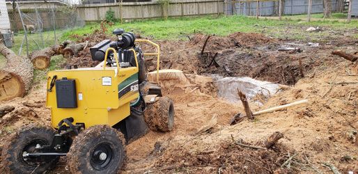 Stump grinding