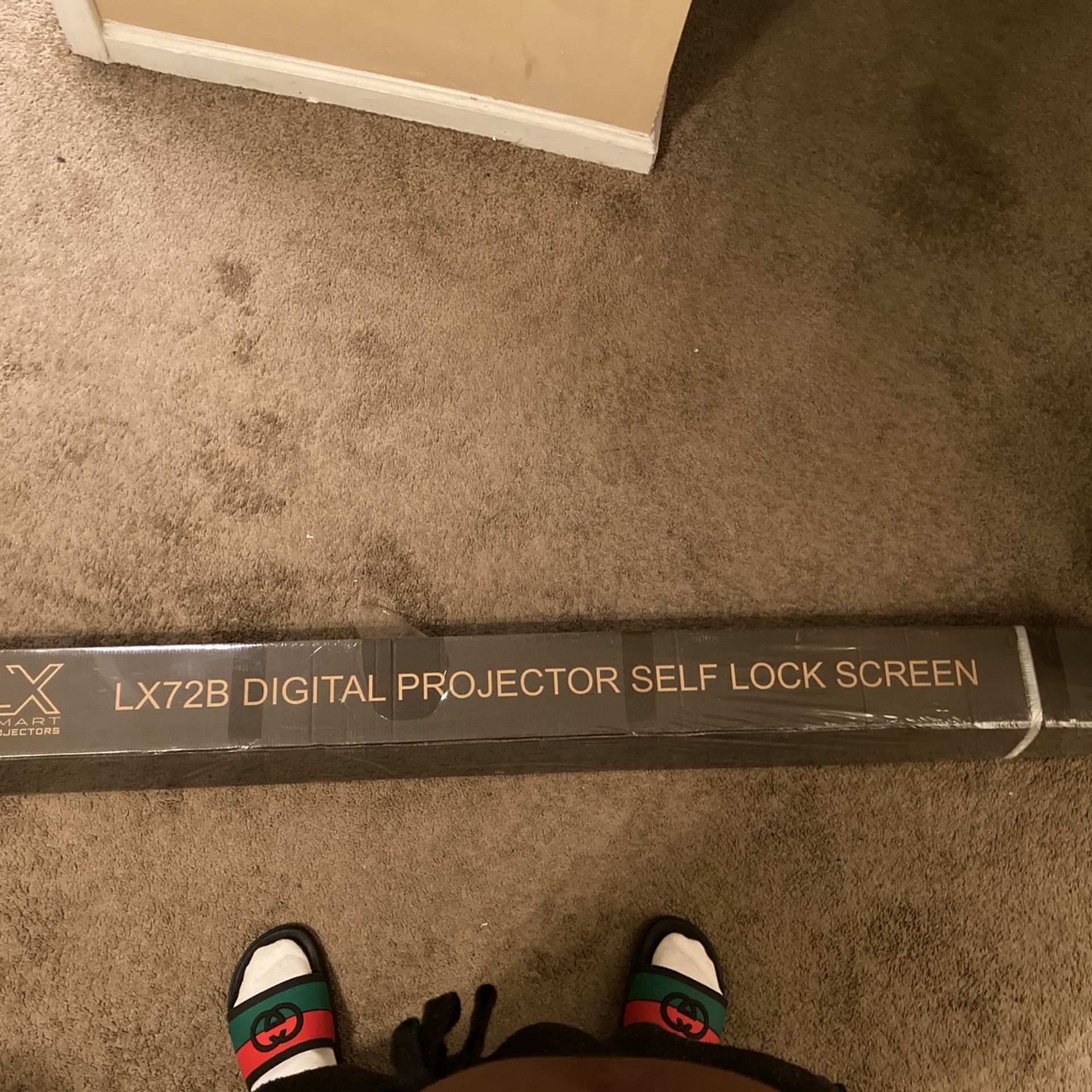 Lx Smart Projector 