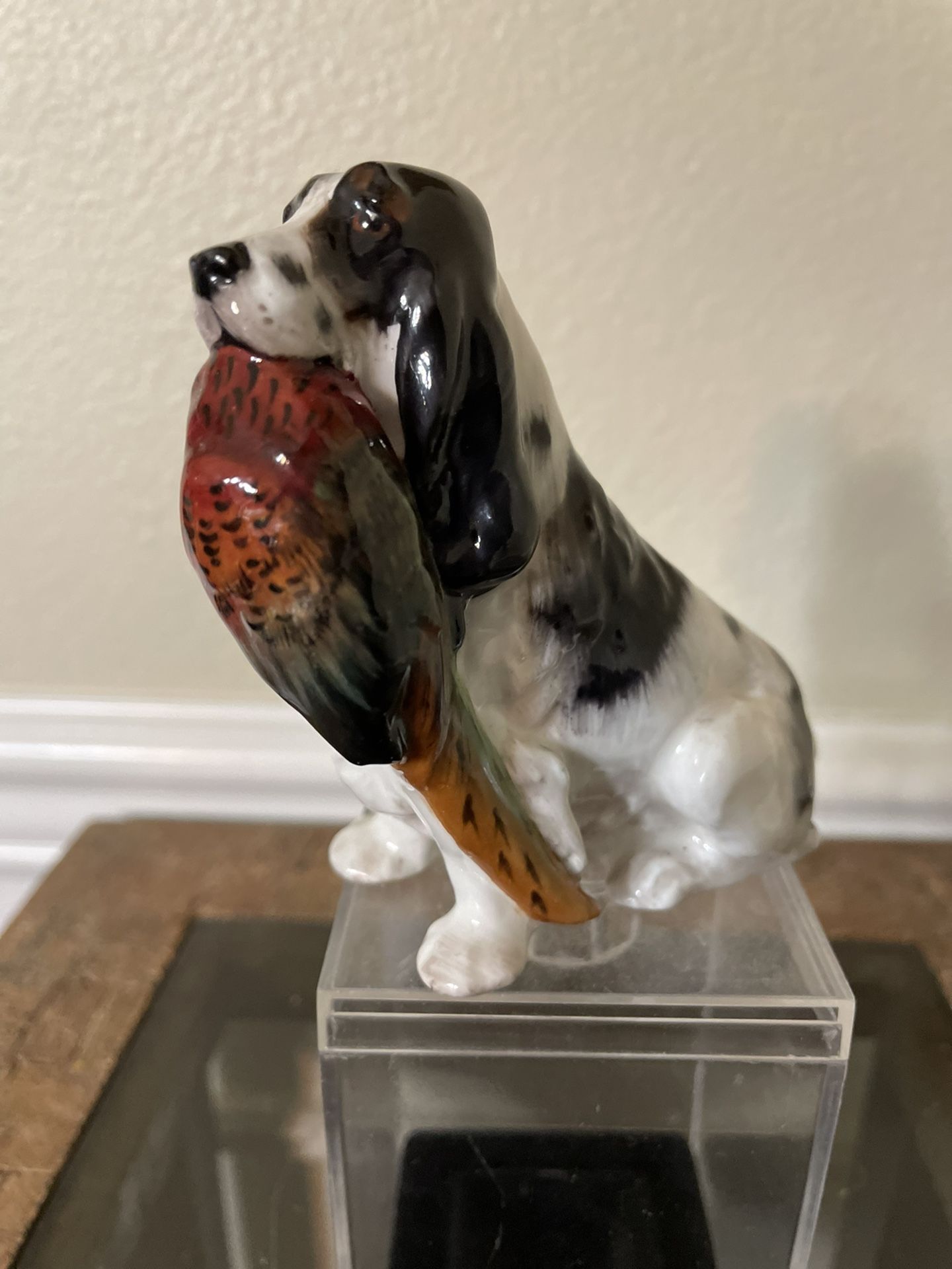 England  Bone China Royal Doulton Springer Spaniel Dog