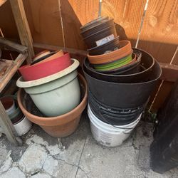 Plant Pots