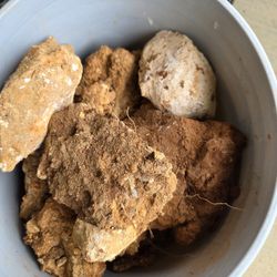 Large Landscaping Rocks- Come And Get Em!