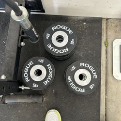 Rogue Dumbbell Weights 