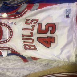 Michael Jordan Bulls Jersey 45