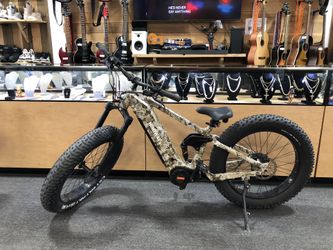 Electric Bike