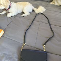 Kate Spade  Crossbody Wallet