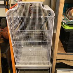 Bird Cage 