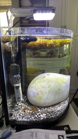 Half Moon Aquarium Tank
