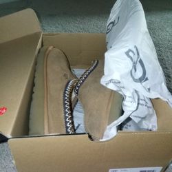 Ugg Shoes 
