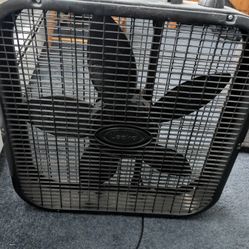Fan