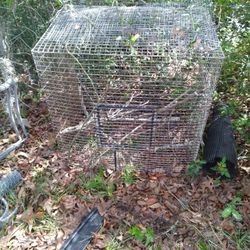 Bird  Cage 