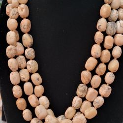 Natural Fossil Coral