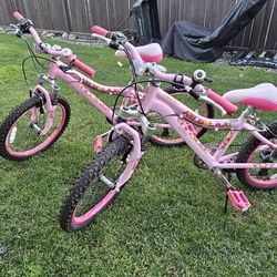 Performance Bike Girl's Starling 20"