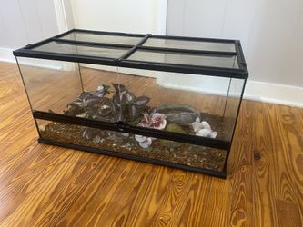 Exo Terra Enclosure 38x18x18
