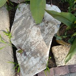 Decorative Rocks 