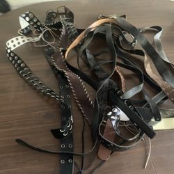 Women’s Belts 14 In Total All For $8