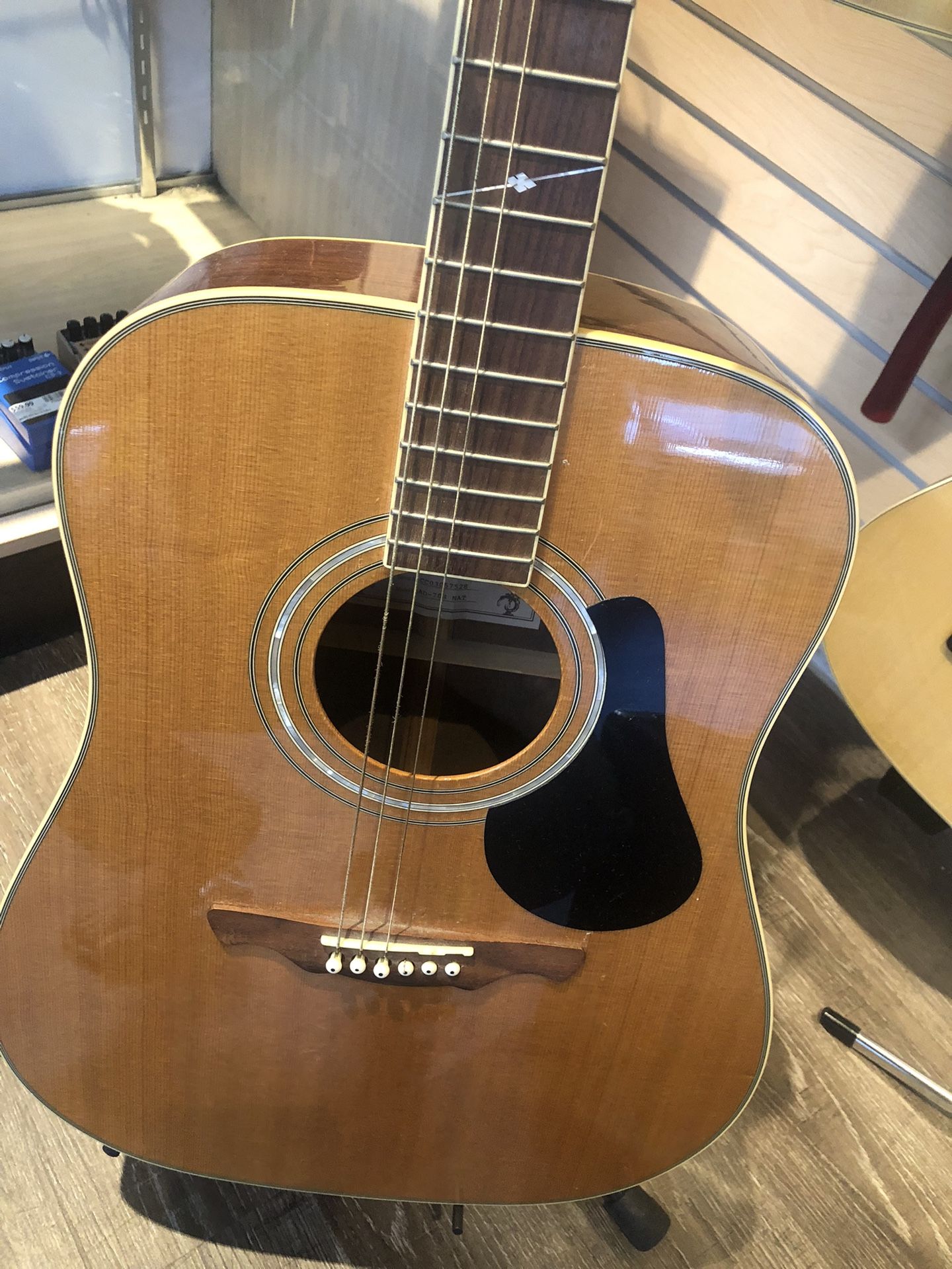 Electric Acoustic Guitar