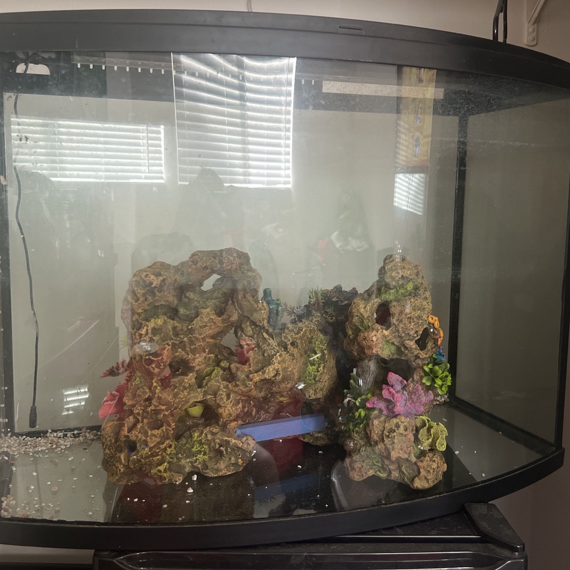 Top Fin 39 Gallon Aquarium 